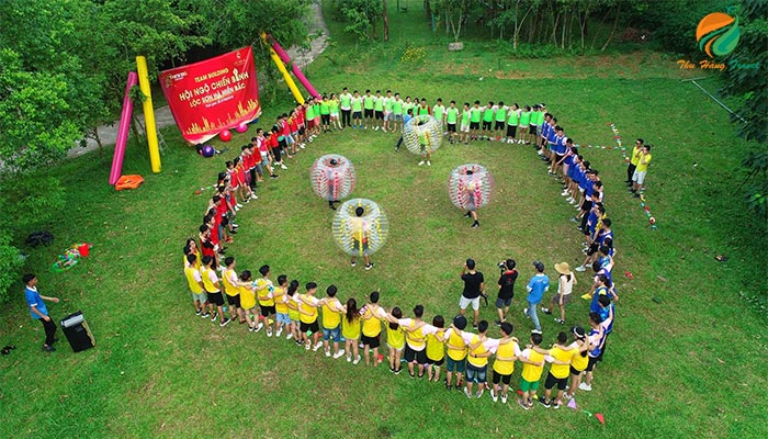 Tổ chức Team building