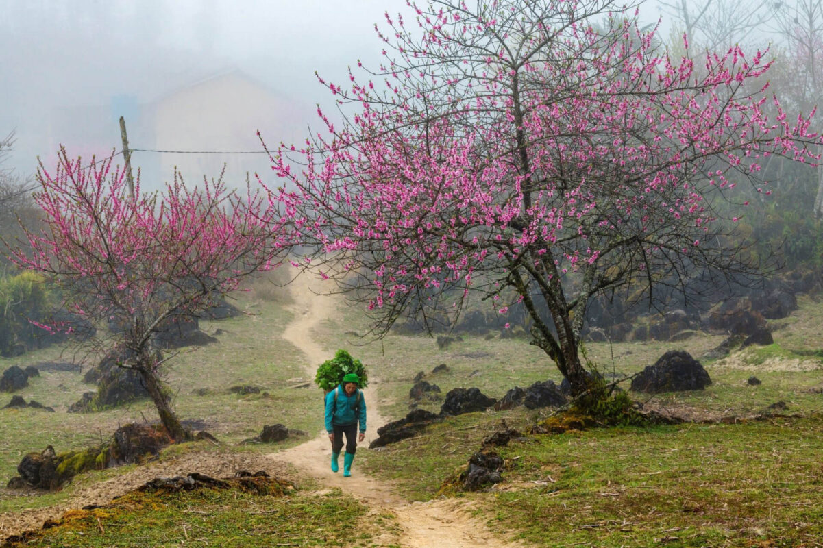 địa điểm du xuân đầu năm